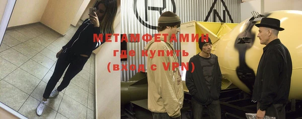 прущие грибы Каменск-Шахтинский
