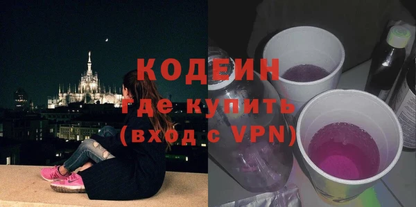 прущие грибы Каменск-Шахтинский