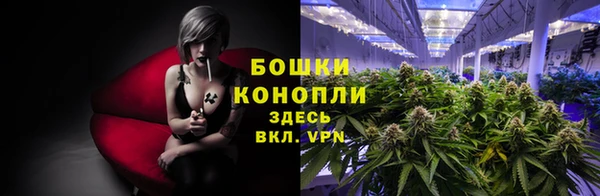 МДПВ Каменногорск