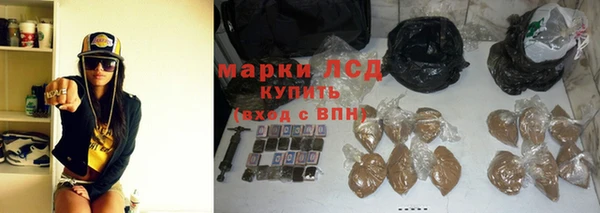 прущие грибы Каменск-Шахтинский