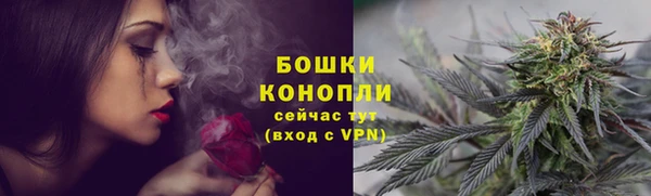 МДПВ Каменногорск
