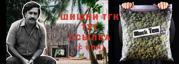 прущие грибы Каменск-Шахтинский