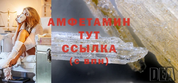 прущие грибы Каменск-Шахтинский