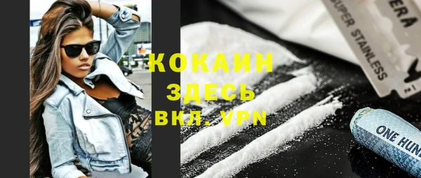 МДПВ Каменногорск