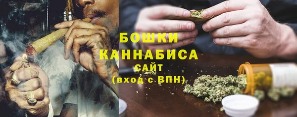 МДПВ Каменногорск