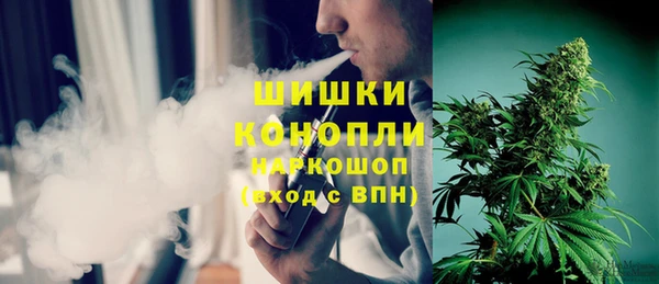 прущие грибы Каменск-Шахтинский