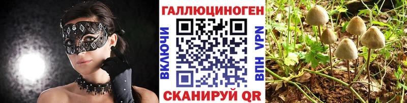 Псилоцибиновые грибы прущие грибы  Купить где  Кольчугино 